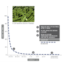 FILAMENT PLA ANTIBACTERIEN 1KG - 1.75 MM